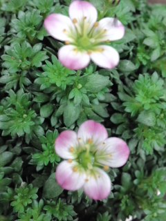 mini_130123_17460003.jpg