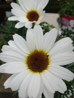mini_130227_1709.jpg