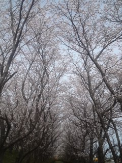 mini_130401_1514.jpg