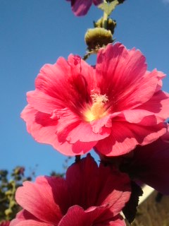 mini_130708_1829.jpg