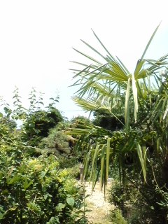 mini_130721_1303.jpg
