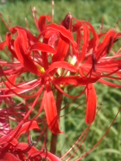 mini_130921_1236.jpg