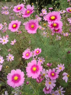 mini_131003_1313.jpg