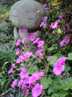 mini_131014_1410.jpg