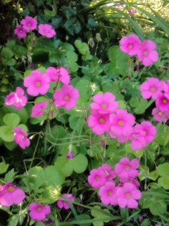 mini_131014_1414.jpg