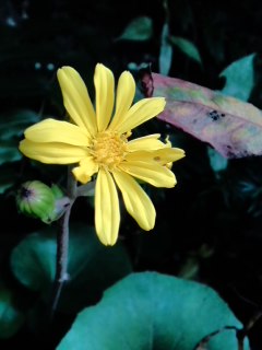 mini_131027_1637.jpg