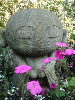 mini_131029_1226.jpg
