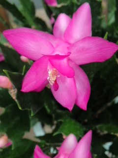 mini_140115_1726.jpg