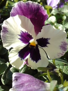 mini_140127_1535.jpg
