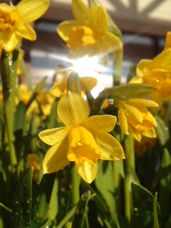 mini_140127_15320001.jpg