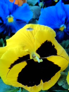 mini_140219_1647.jpg