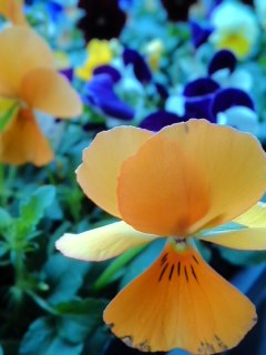 mini_140219_16470001.jpg