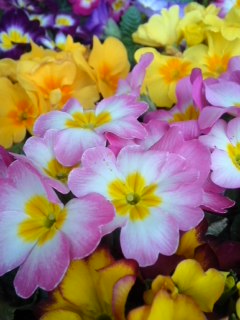 mini_140219_16490001.jpg