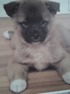 mini_140307_1404.jpg