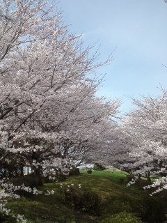 mini_140403_09150001.jpg