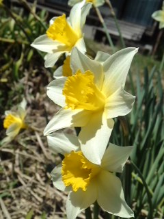 mini_140402_1238.jpg