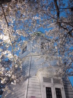 mini_140409_1847.jpg