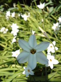 mini_140408_1112.jpg