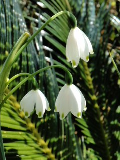 mini_140415_1216.jpg
