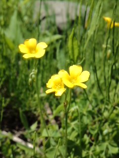 mini_140503_1233.jpg