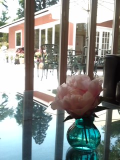 mini_140529_1120.jpg