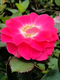 mini_140607_0924.jpg