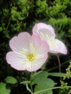 mini_140607_17020001.jpg