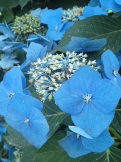 mini_120711_1019.jpg