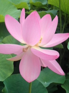 mini_120711_10290001.jpg