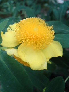 mini_120711_11450001.jpg