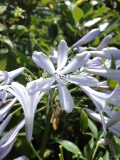 mini_140715_1034.jpg