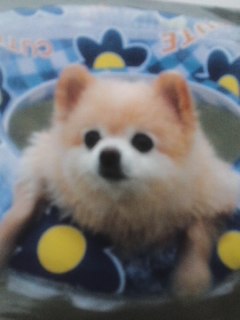 mini_130109_21540001.jpg