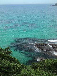 mini_140722_1247.jpg