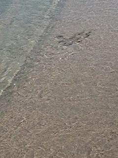 mini_150725_13080004.jpg