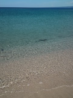 mini_150725_12260002.jpg