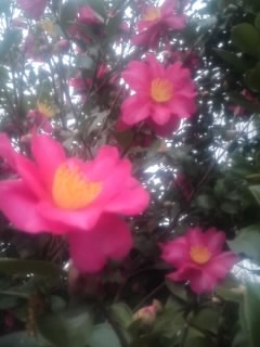 mini_161219_15490001.jpg